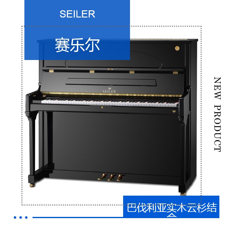 德国原装进口钢琴 SEILER STRUNZ音板 ROSLAU弦_96b7b5b5.jpg